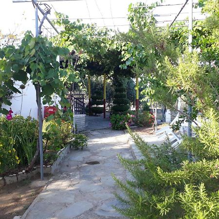 Studio Zoi Villa Alikí Exteriör bild