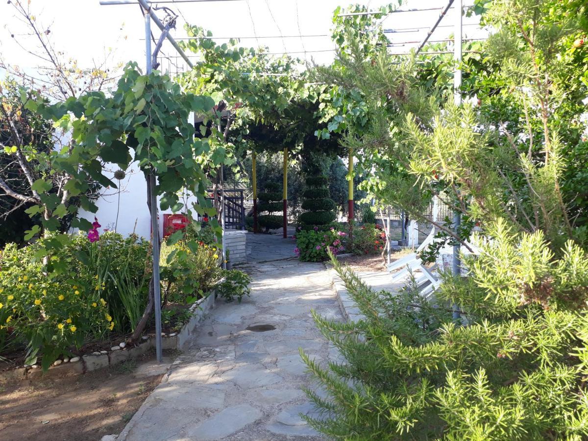 Studio Zoi Villa Alikí Exteriör bild